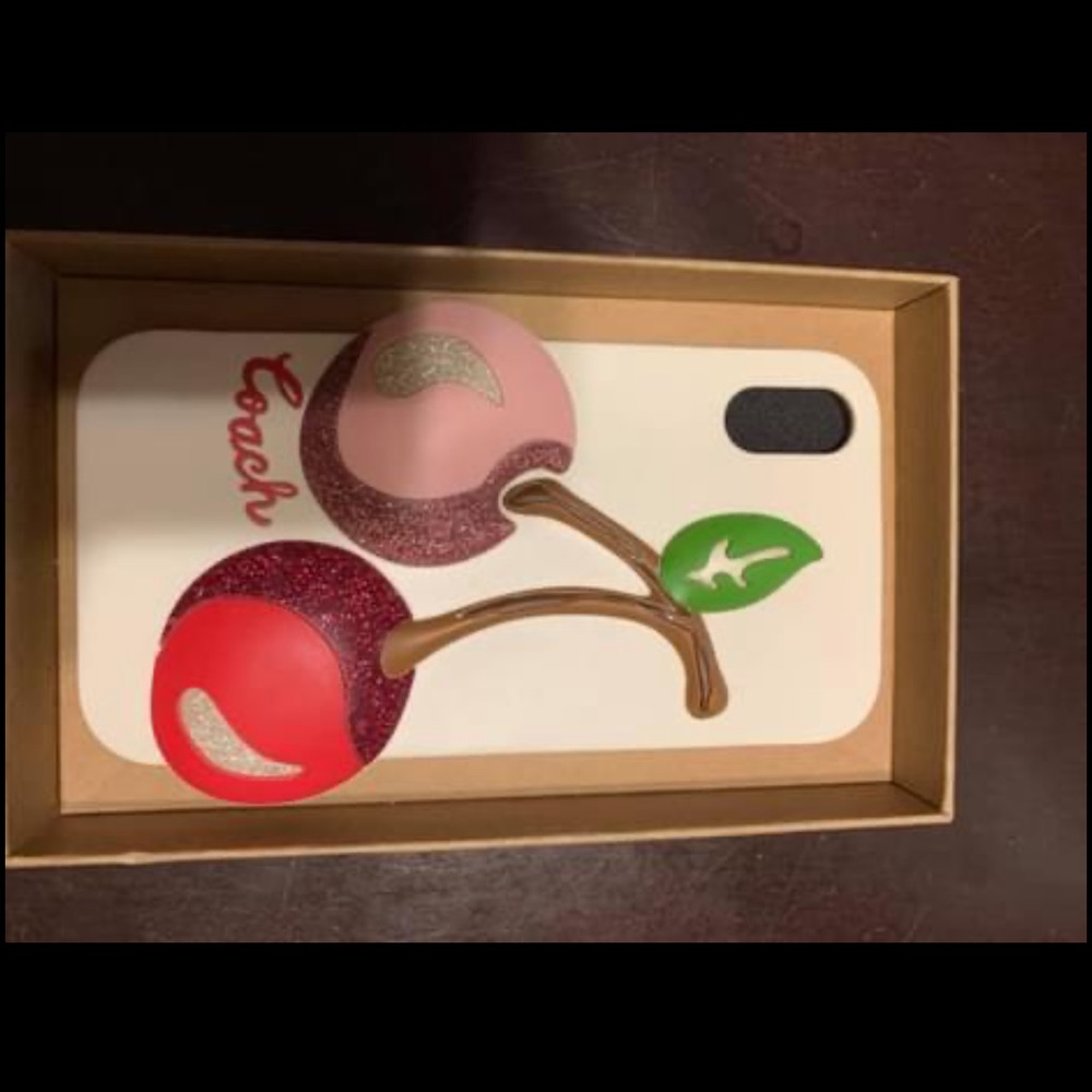 Coach iPhone XR phone case